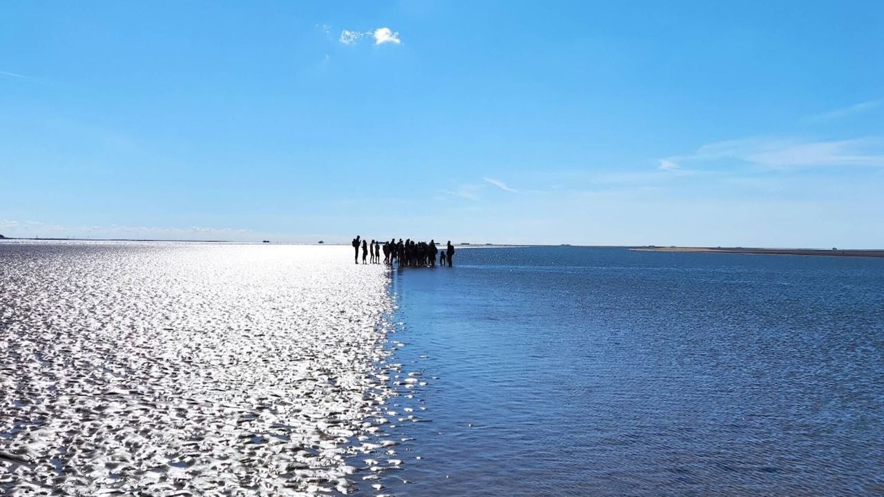 AreaSummer5KM AreaSummer5KM